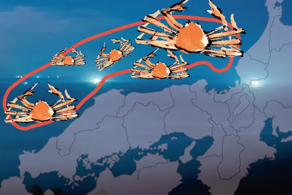 Sea of Japan Crab Map