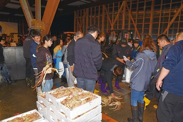 Auction at Echizen Port
