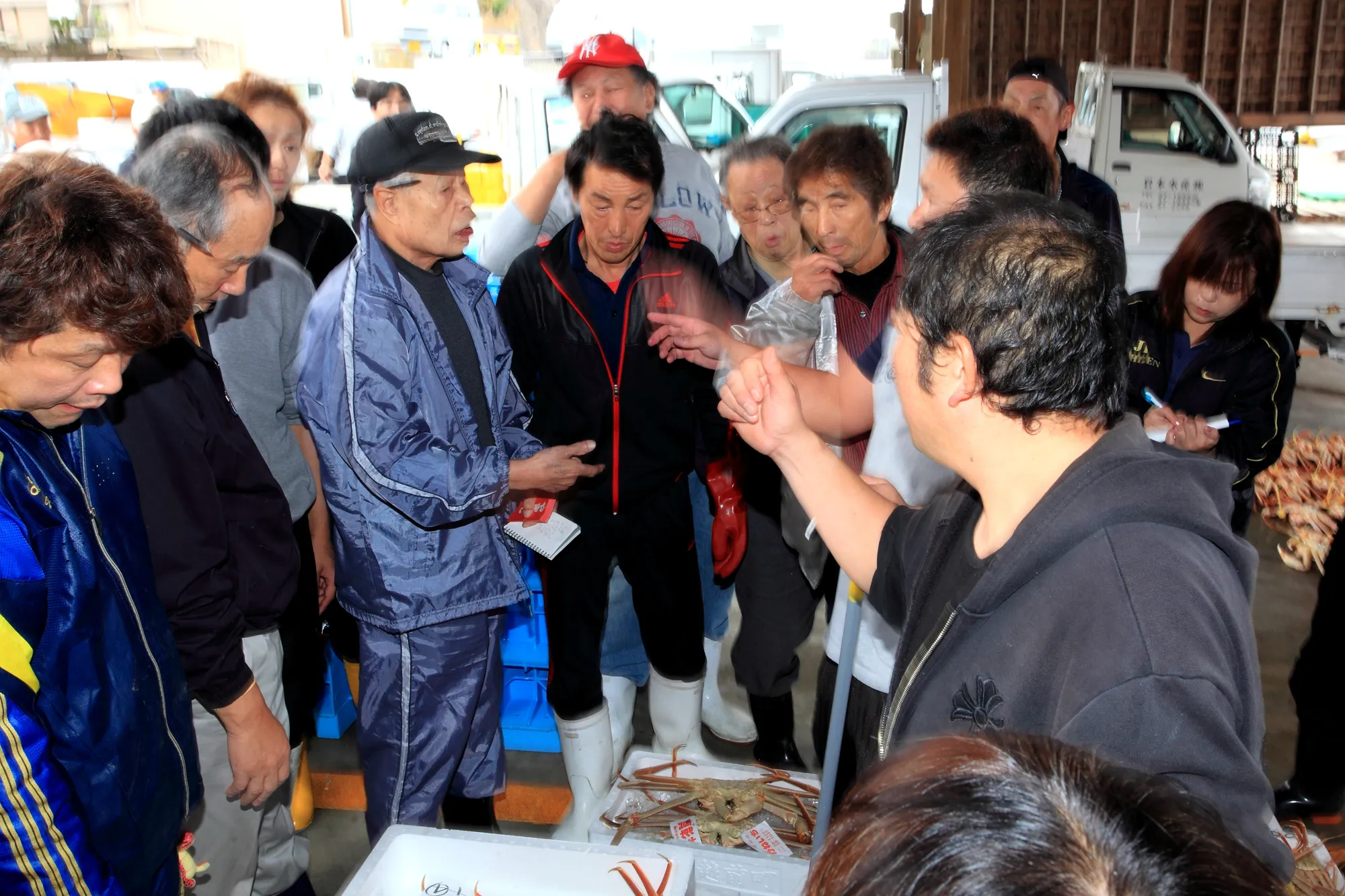 越前漁港のセリ